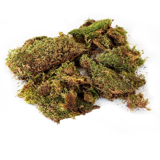 Ashland Preserved Moss Forest Green